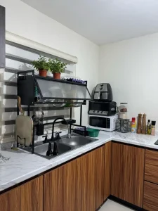 Escurridor de Platos con Tapa, ahorrador de Espacio photo review